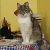 Отзыв от Эмма Ефимова